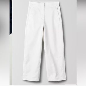 The group babaton Walsh pant